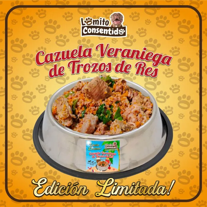 Cazuela Veraniega de Res edición limitada para perros, incluye carne de res molida y en trozos con brócoli, papaya y ayote, comida natural cocinada lista para servir, presentación de 1 libra