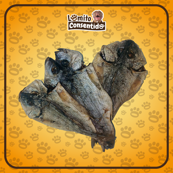 Galleta de Pescado - 114 gramos