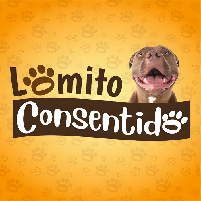 Perro marrón sonriente sobre fondo naranja con huellas, junto al logotipo Lomito Consentido en estilo juguetón.