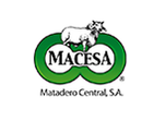 Macesa